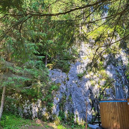 Pension Cabana Cetatile Ponorului Padis Buitenkant foto