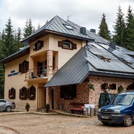Pension Cabana Cetatile Ponorului Padis Buitenkant foto