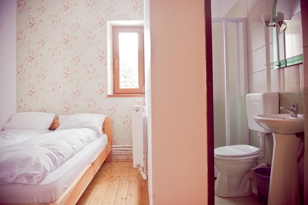 Pension Cabana Cetatile Ponorului Padis Kamer foto