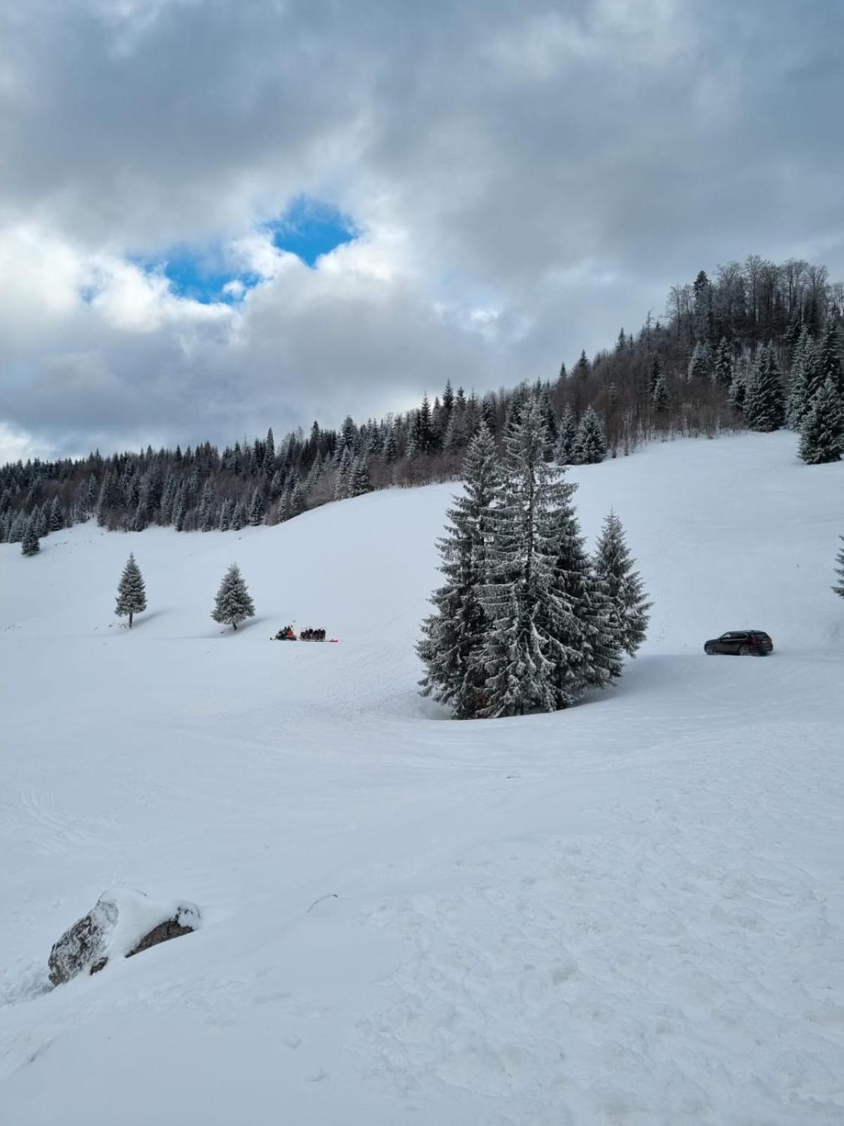Pension Cabana Cetatile Ponorului Padis Buitenkant foto