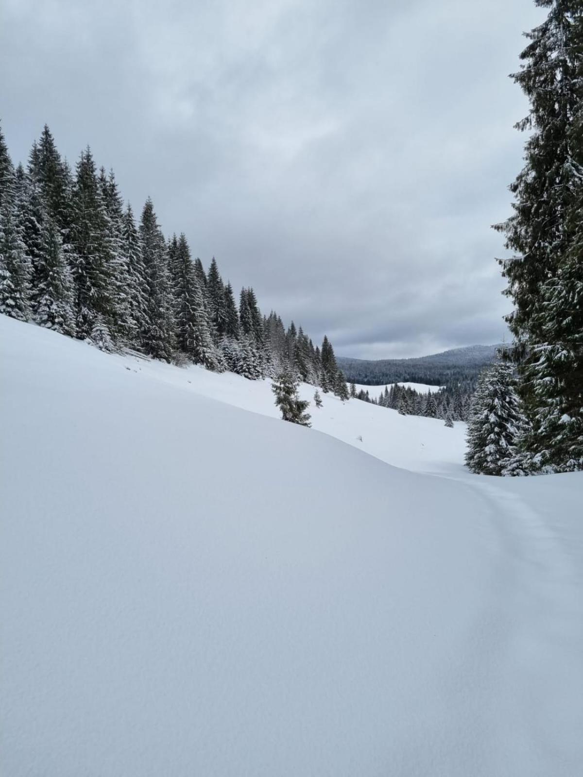 Pension Cabana Cetatile Ponorului Padis Buitenkant foto
