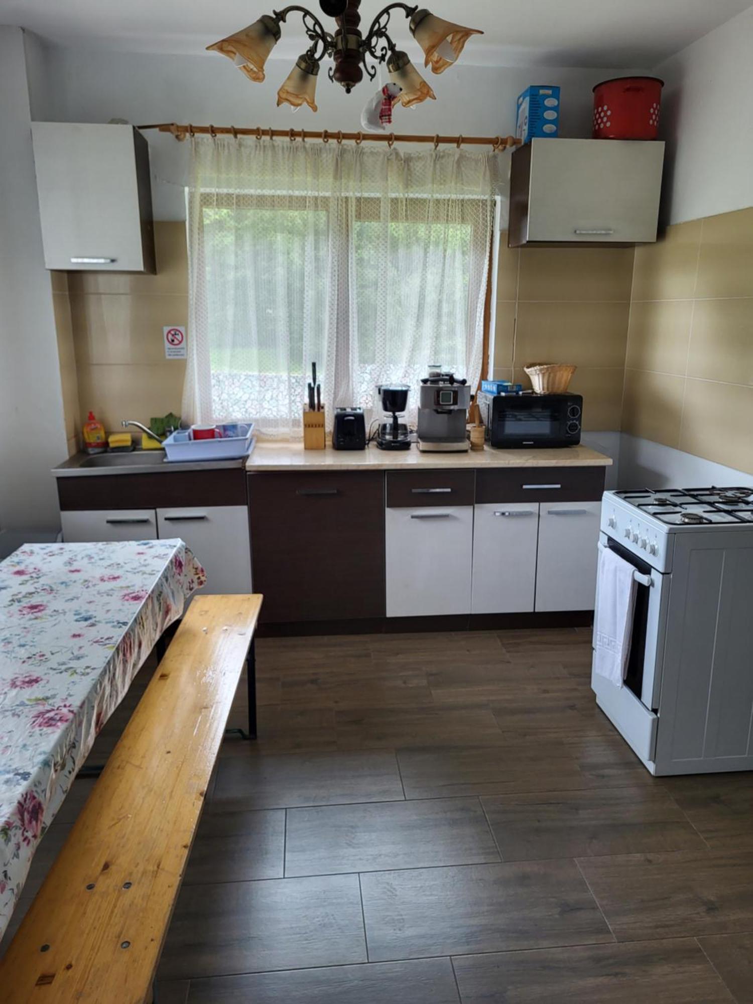 Pension Cabana Cetatile Ponorului Padis Buitenkant foto