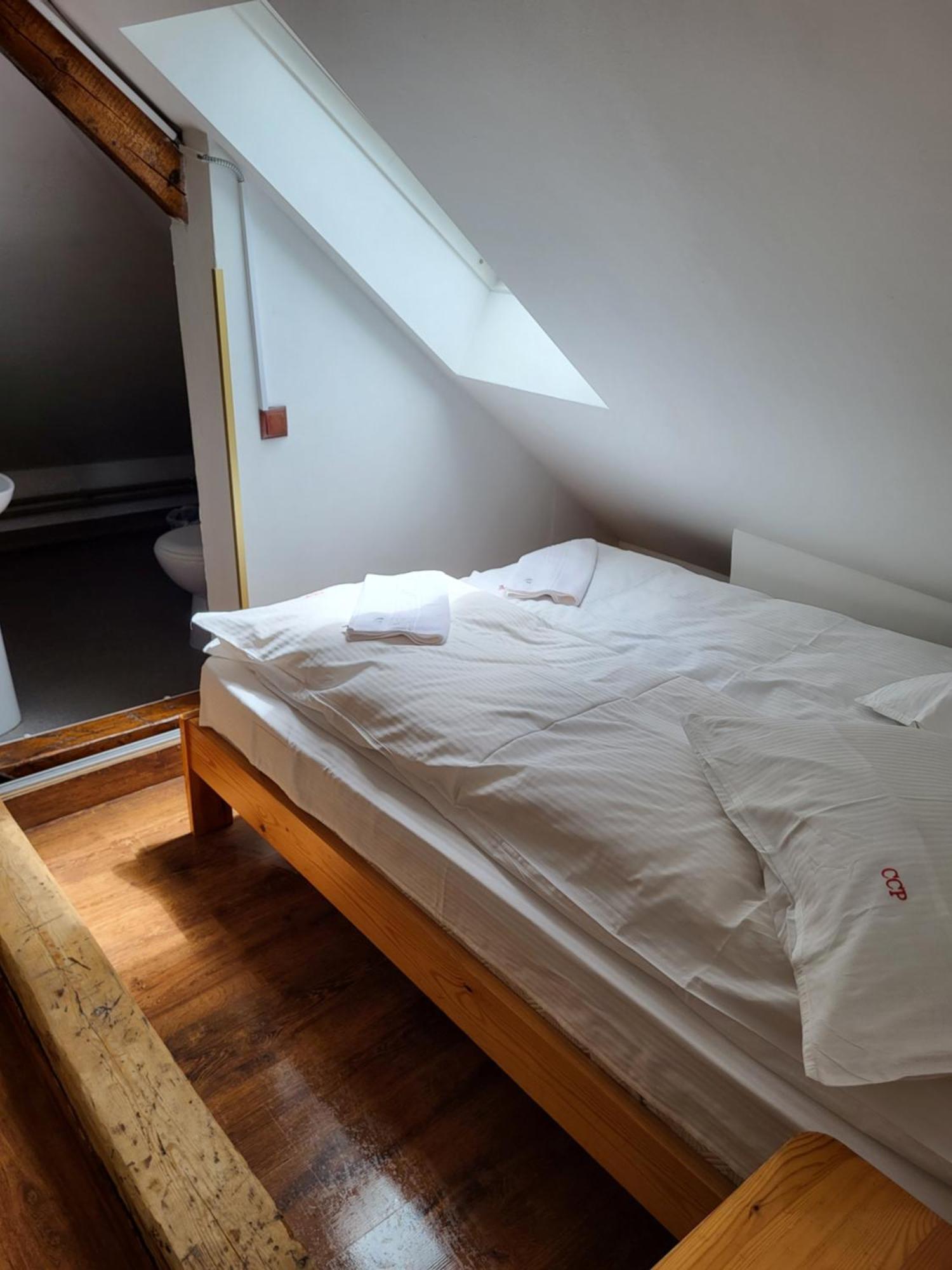 Pension Cabana Cetatile Ponorului Padis Buitenkant foto
