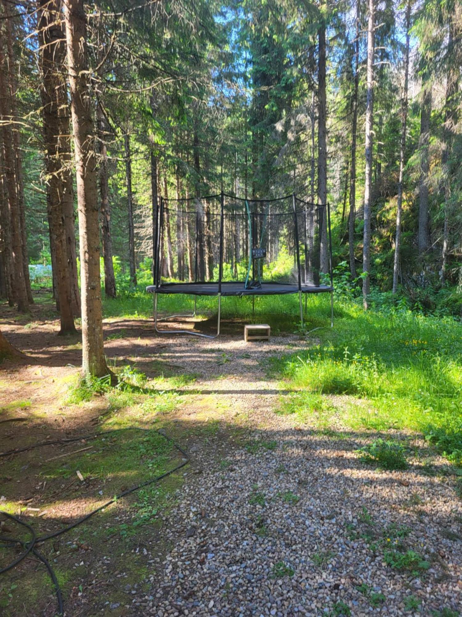 Pension Cabana Cetatile Ponorului Padis Buitenkant foto