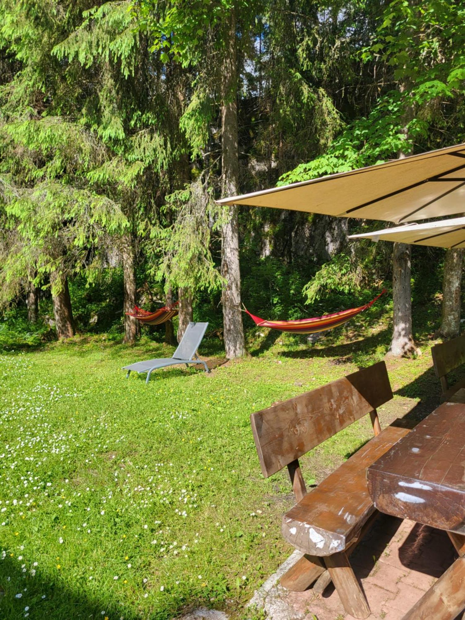 Pension Cabana Cetatile Ponorului Padis Buitenkant foto