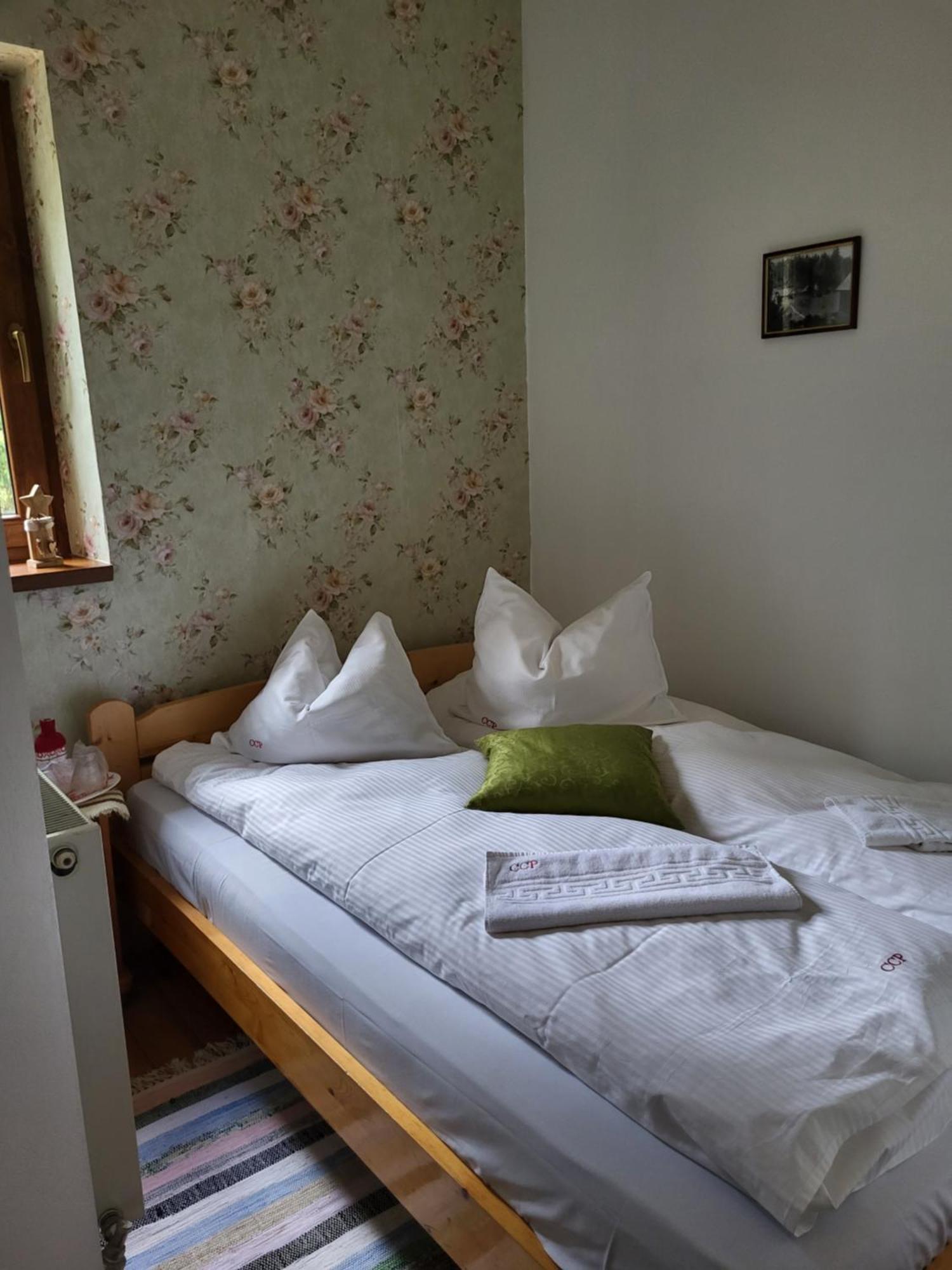 Pension Cabana Cetatile Ponorului Padis Buitenkant foto