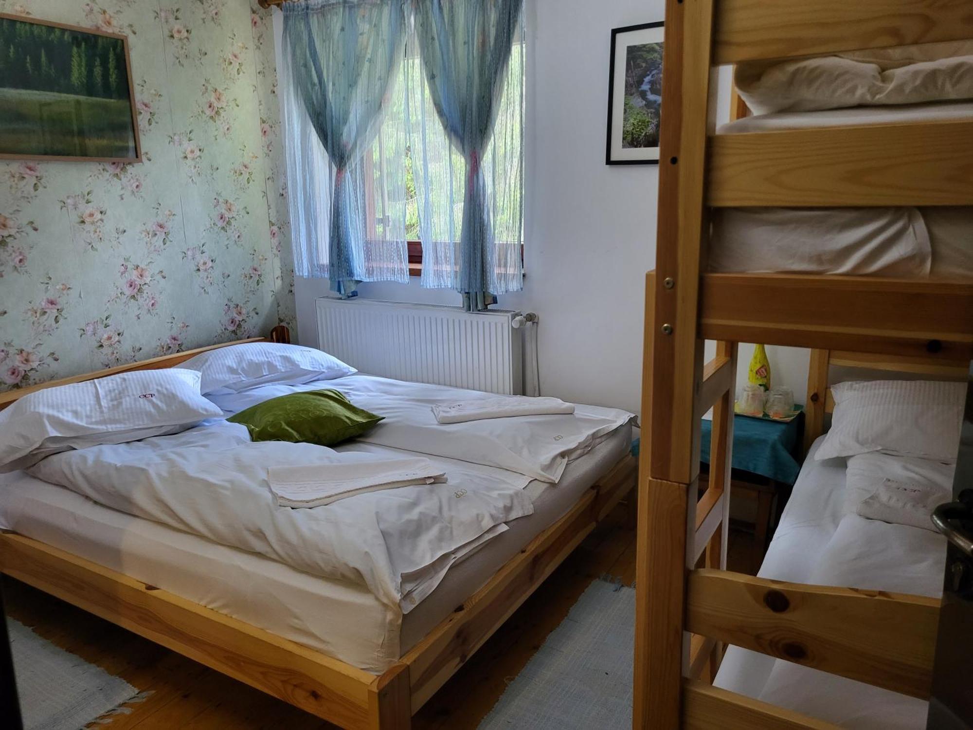Pension Cabana Cetatile Ponorului Padis Buitenkant foto