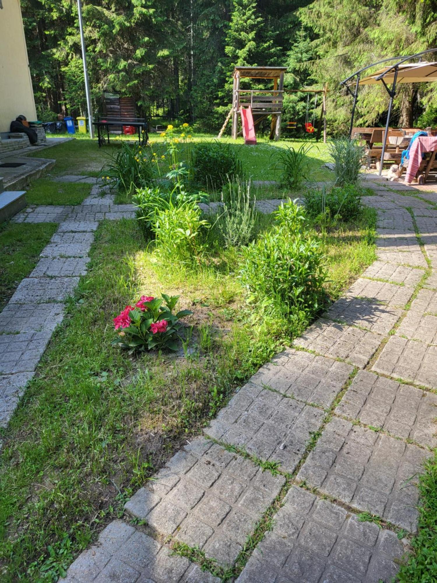 Pension Cabana Cetatile Ponorului Padis Buitenkant foto