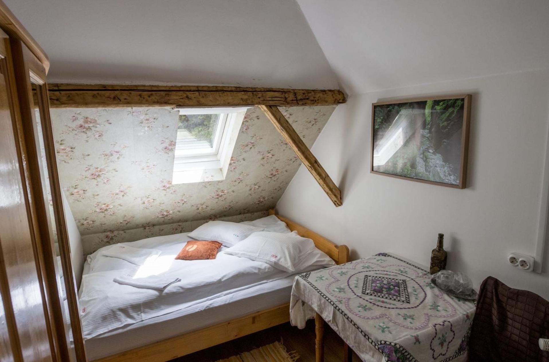 Pension Cabana Cetatile Ponorului Padis Buitenkant foto