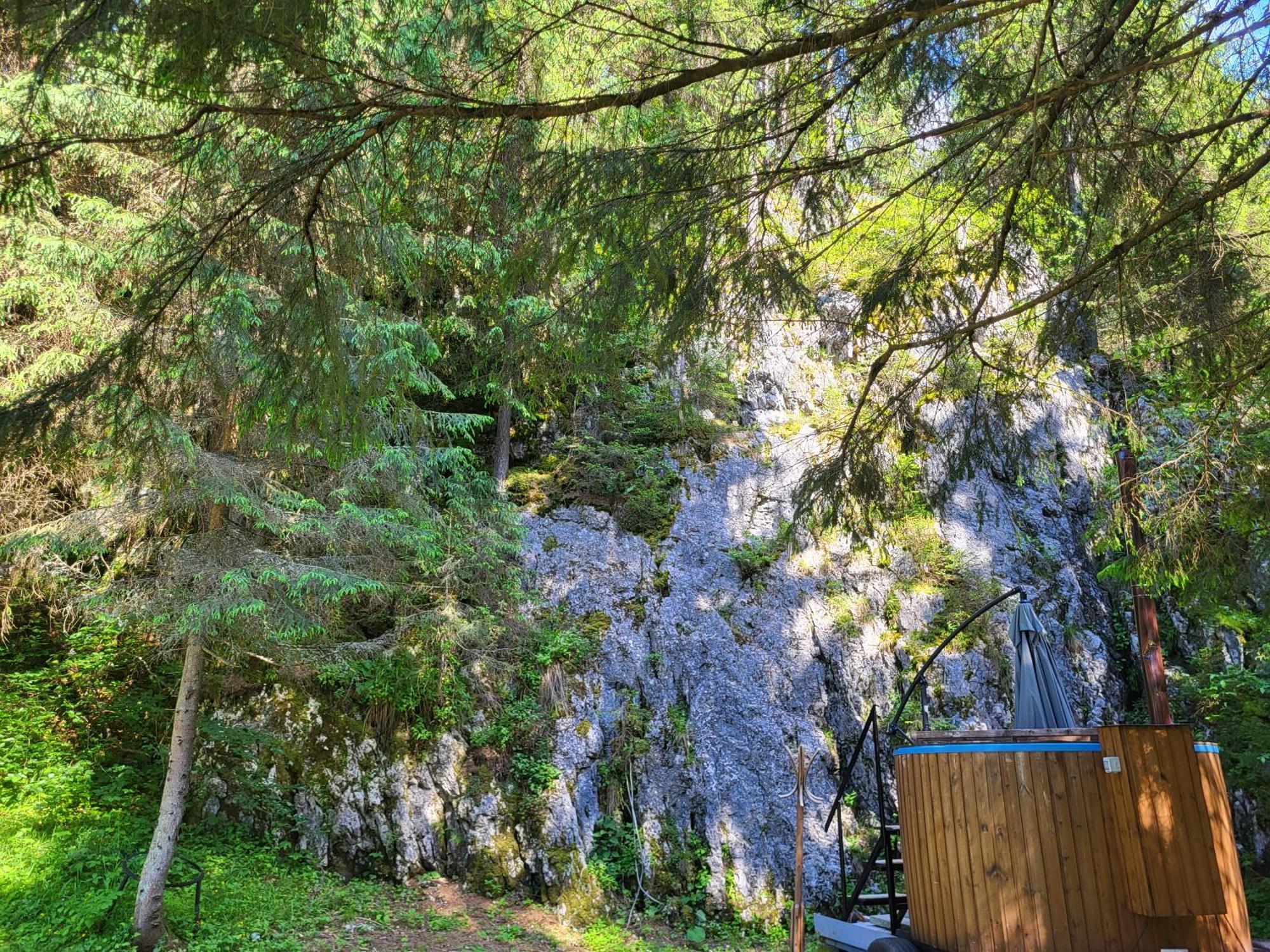 Pension Cabana Cetatile Ponorului Padis Buitenkant foto