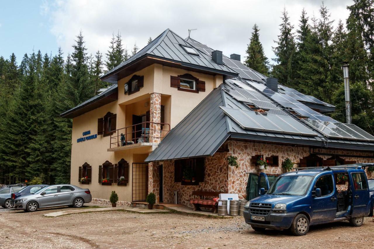 Pension Cabana Cetatile Ponorului Padis Buitenkant foto