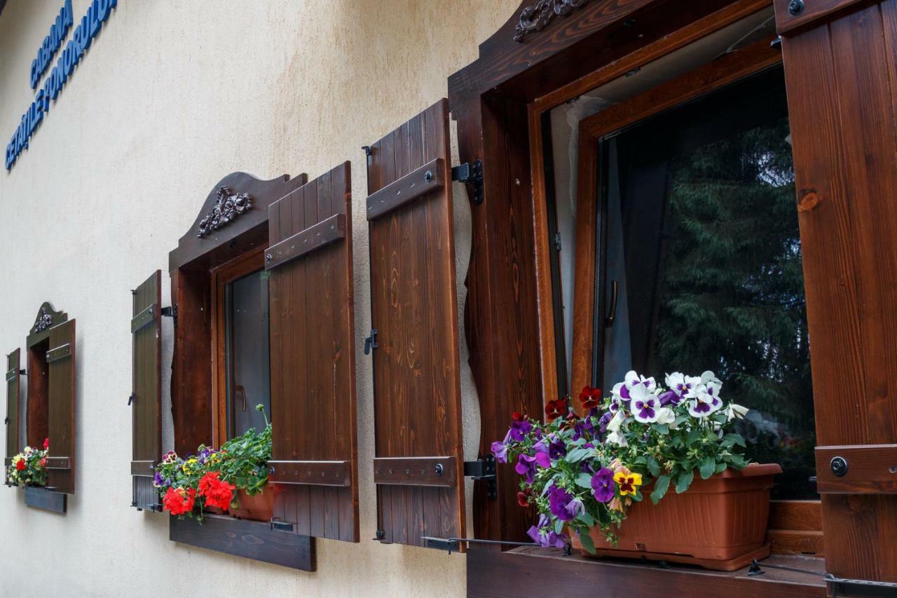 Pension Cabana Cetatile Ponorului Padis Buitenkant foto